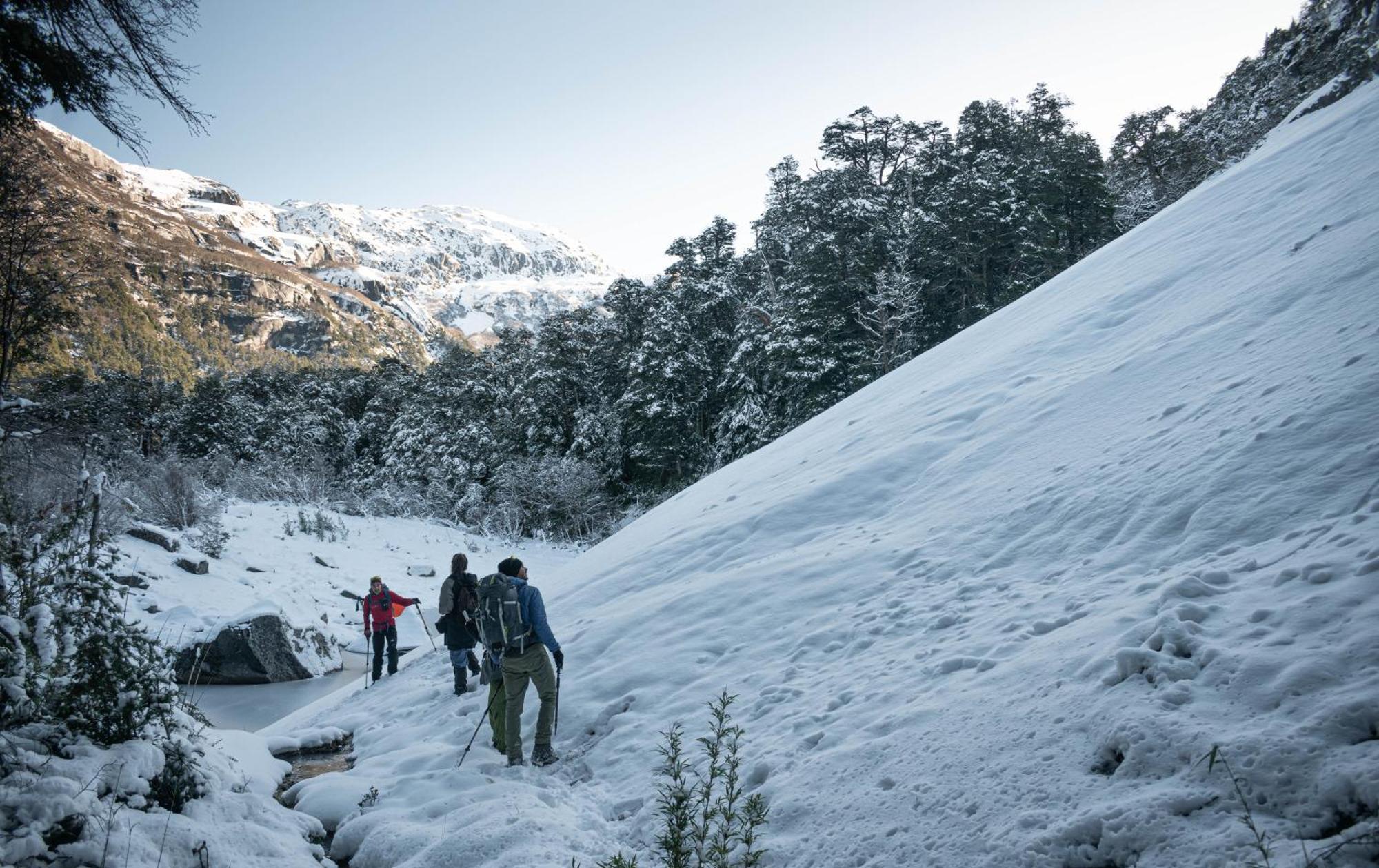Indomito Hostel Bariloche Zewnętrze zdjęcie
